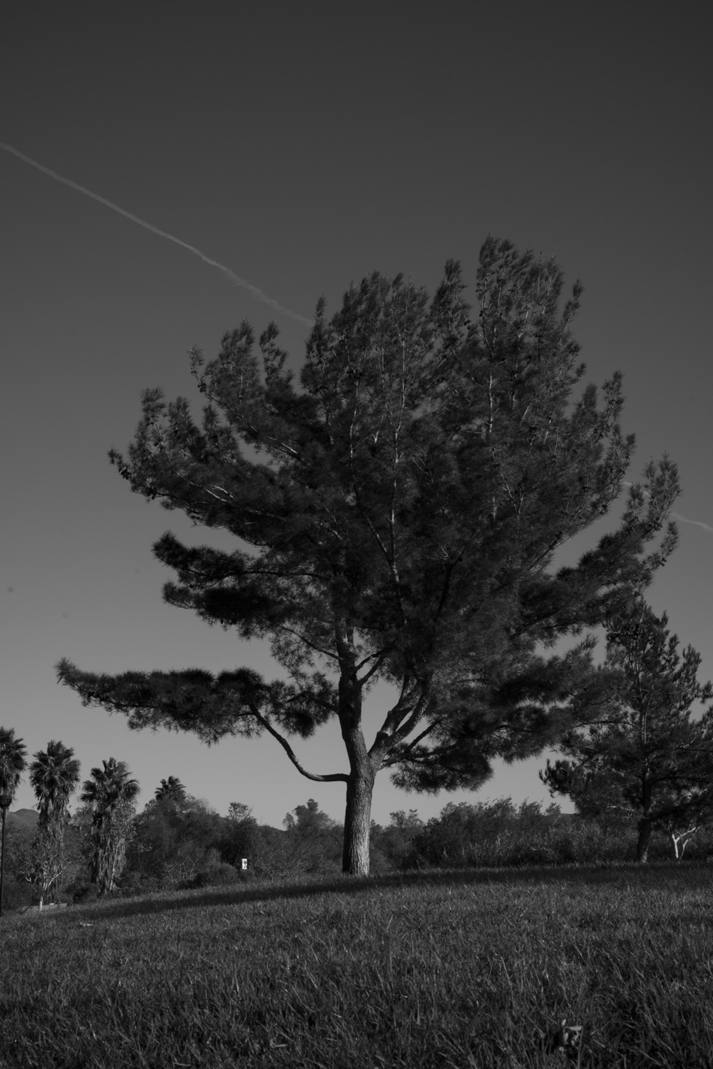 Gone and Away — fine art photograph
